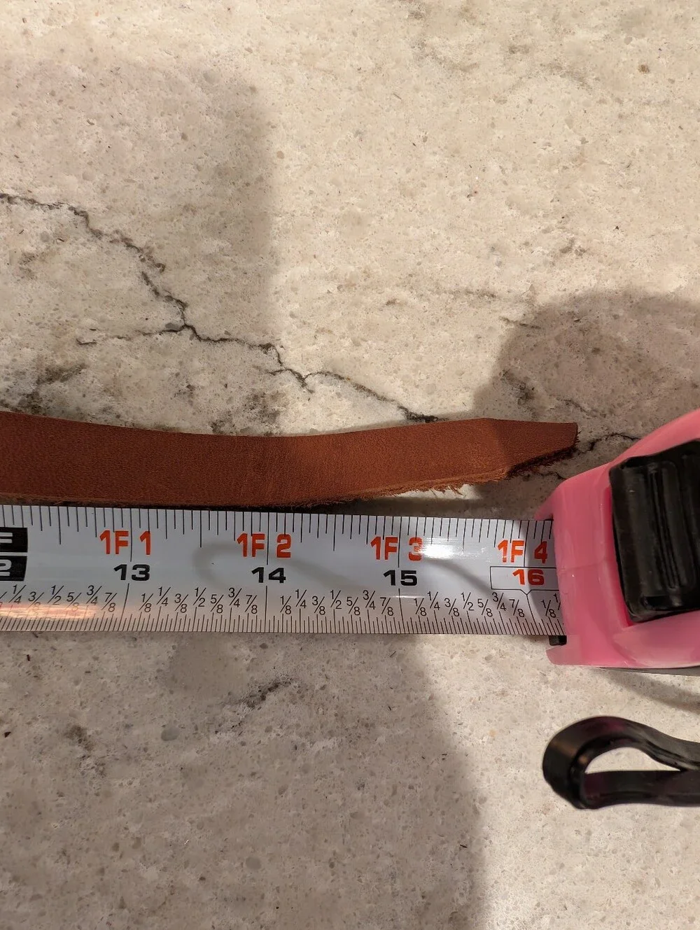 Brand New Turquoise Dog Collar